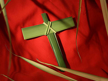 palm sunday cross, sunday, religious, cvjetnica, palm, cross, easter HD wallpaper