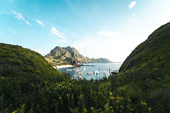 Discover the scenic beauty of Padar Island with lush landscapes and serene seascapes in East Nusa Tenggara. HD wallpaper