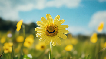 Happy Yellow Flower - Ultra, Happy, flower, yellow flower, yellow, smiley HD wallpaper