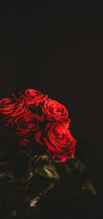 Flower bouquet, Dark , Mysterious beauty, Intriguing colors HD phone wallpaper