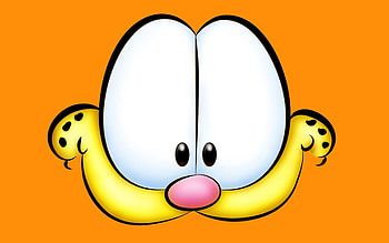 Garfield, Garfield , Cat lovers' delight HD wallpaper