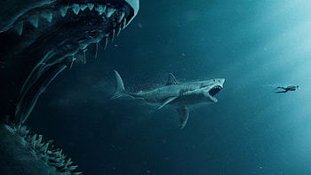 The Meg, Great White Sharks HD wallpaper