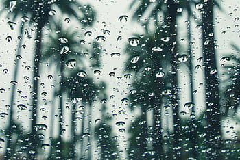 Raindrops on a window with a blurred view of palm trees, creating a serene scene. HD wallpaper