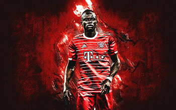 Sadio Mane, FC Bayern Munich, FCB, Senegalese footballer, Mane portrait, Bundesliga, Bayern Munich, Germany, football, Mane Bayern Munich HD wallpaper
