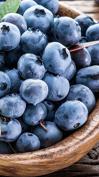 Glaucous, Blue Berries HD phone wallpaper