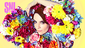 Saturday Night Live, Tina Fey HD wallpaper