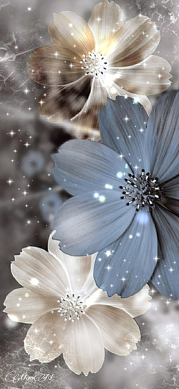 Vintage, petal, white, old HD phone wallpaper