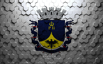 Flag of Petropolis, honeycomb art, Petropolis hexagons flag, Petropolis 3d hexagons art, Petropolis flag HD wallpaper