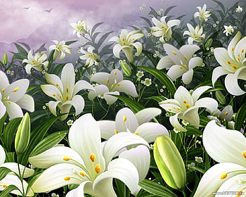flowers, flower HD wallpaper
