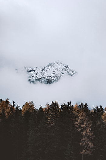Nature, Trees, Mountain, Vertex, Top, Cloud HD phone wallpaper
