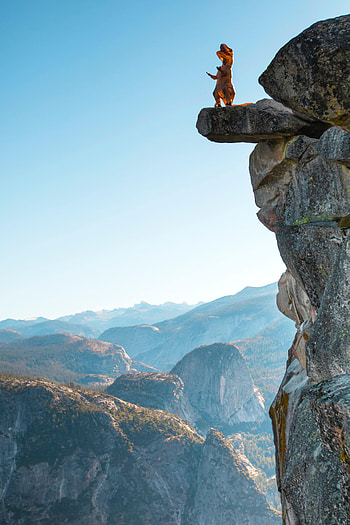 Funny, Nature, Rock, Precipice, Break, Dinosaur, Amusingly HD phone wallpaper