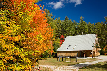 Beautiful Wooden Cabin in Fall, Log Cabins, Trees, Fall, Nature, Autumn HD wallpaper