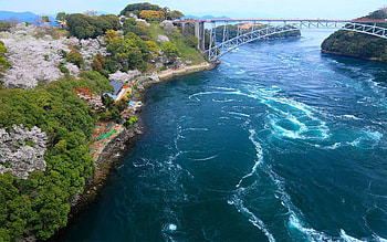 Nature, Trees, Sea, Bloom, Flowering, Flow, Bridge, Streams, Flows, From Above, Above, Embankment, Quay HD wallpaper