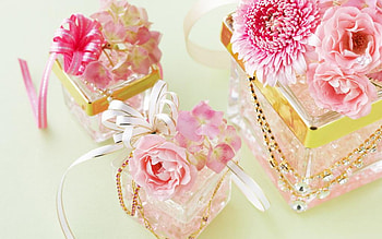 Another Event, beauti, rose, pink, event HD wallpaper