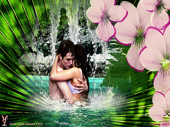 Honey Mooning {Breaking Dawn}, twilight, edward, entertainment, movies, breaking dawn, people, bella HD wallpaper
