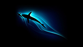 Cool fish , of aquatic life, Stunning underwater graphy, Vibrant marine ecosystem HD wallpaper