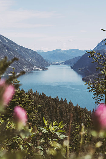 Nature, Landscape, Water, Mountains, Forest, Bay HD phone wallpaper