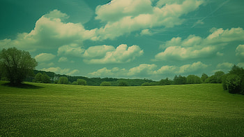 Green Serenity Landscape, landscape, green aesthetic, aesthetic HD wallpaper
