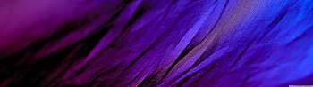 Purple Cloth Ultra Background for U TV : Multi Display, Dual Monitor : Tablet : Smart, 5120x1440 Purple HD wallpaper