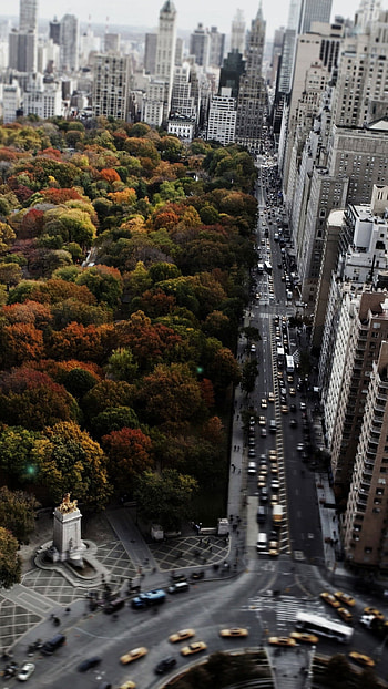 Central Park, Aerial view, Buildings, New York HD phone wallpaper