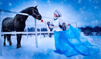 ღ, Apple, Horse, Shawl, Hat, Snow HD wallpaper