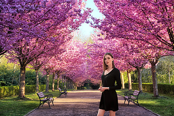 Nadya Posing with the Cherry Blossoms, trees, model, dress, brunette HD wallpaper