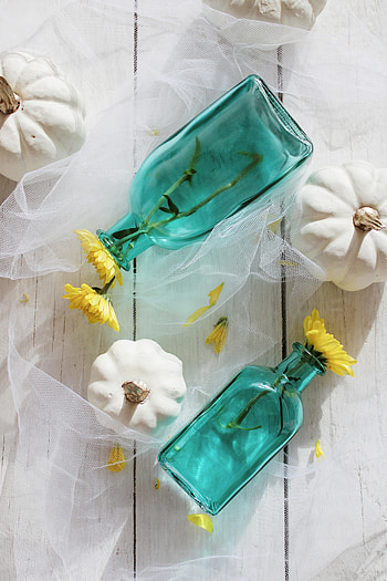 Flowers, Autumn, Pumpkin, Still Life, Miscellanea, Miscellaneous, Vases HD phone wallpaper