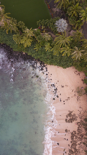Nature, Sea, Beach, Sand, Palms, View From Above HD phone wallpaper