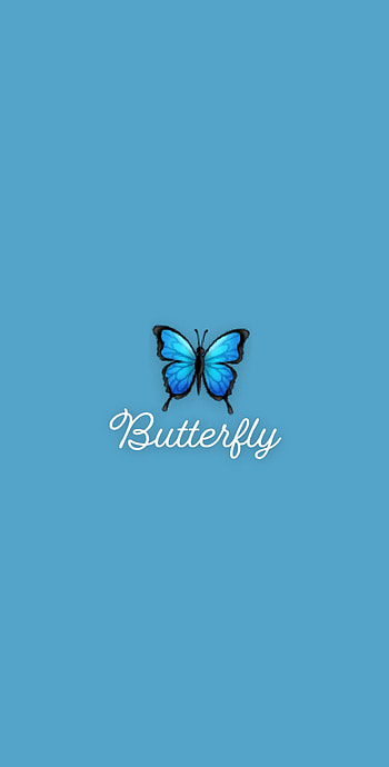 Butterfly, blue HD phone wallpaper