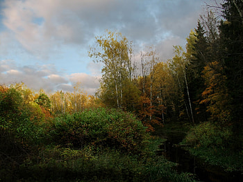 Landscape, Rivers, Autumn HD wallpaper