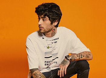 Zayn Malik, 2020 , Fresh aesthetics, Modern vibes HD wallpaper