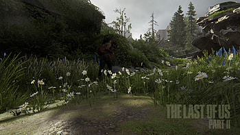 Running Seattle (dina landscape+logo), Dina (The Last of Us), The Last of Us Part II HD wallpaper