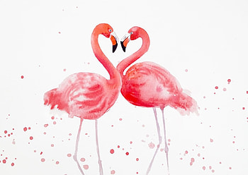 Flamingos, summer, pink, flamingo, art, burd, couple, watercolor, vara, pasari HD wallpaper