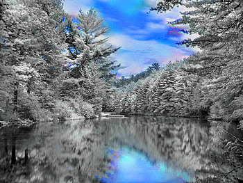 Winter sky reflection, winter, river, frost, reflection, cold, trees, sky, water HD wallpaper