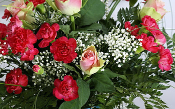 *** Flowers ***, kolorowy, natura, bukiet, kwiaty HD wallpaper