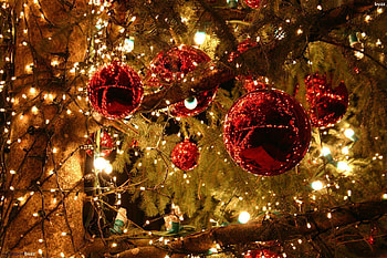 Christmas lights , Dazzling illumination, Festive ambiance, Holiday glow HD wallpaper