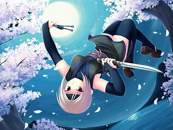 NINJA,Girl, silas, moon light HD wallpaper