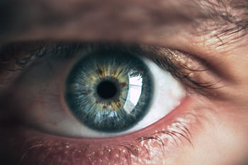 Detailed macro capturing the intricacies of a human eye, showcasing color and texture. HD wallpaper