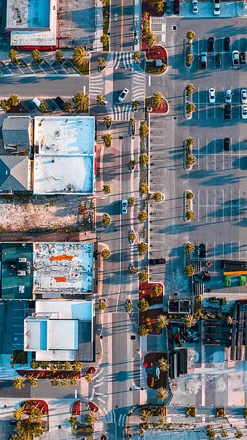 Cities, Palms, City, Building, View From Above, Road HD phone wallpaper