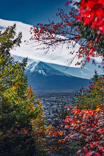 Nature, Sky, Mountains, Snow, Branches HD phone wallpaper