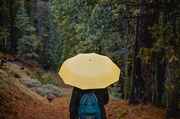 Miscellanea, Miscellaneous, Stroll, Human, Person, Umbrella HD wallpaper