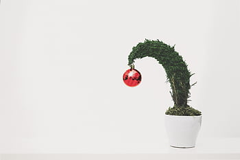 A bonsai tree with a red ornament in a white pot on a white background. HD wallpaper