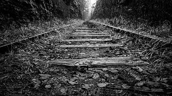 Black and white of abandoned railroad tracks with a moody feel. HD wallpaper