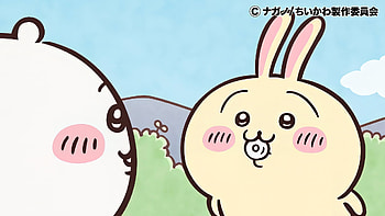 Chiikawa Anime Characters, Anime, Chiikawa HD wallpaper