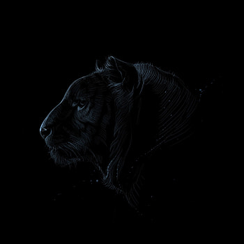 Art, Dark, Predator, Tiger, Profile HD phone wallpaper