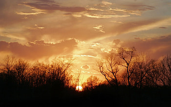 POR DO SOL, sol, nuvens, natureza, arvores HD wallpaper