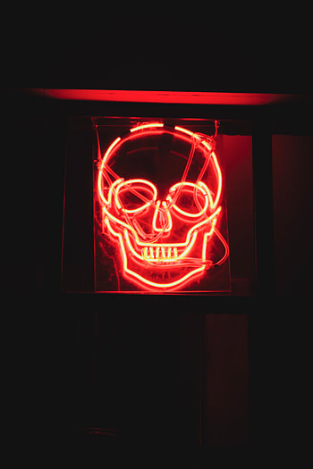 Dark, Neon, Glow, Skull HD phone wallpaper