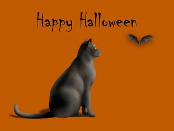 Cat watching Bat, black cat, black bat, happy halloween HD wallpaper