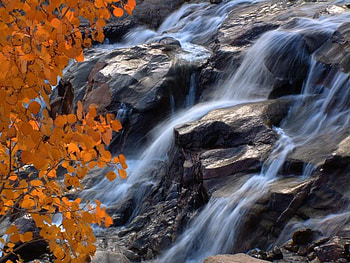 Rippling Waterfalls, falls, water, rock, tree HD wallpaper