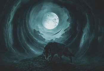 Full moon, luna, wolf, dark, silhouette, blue, night, art, fantasy, moon, ninoslav stankovic, luminos HD wallpaper